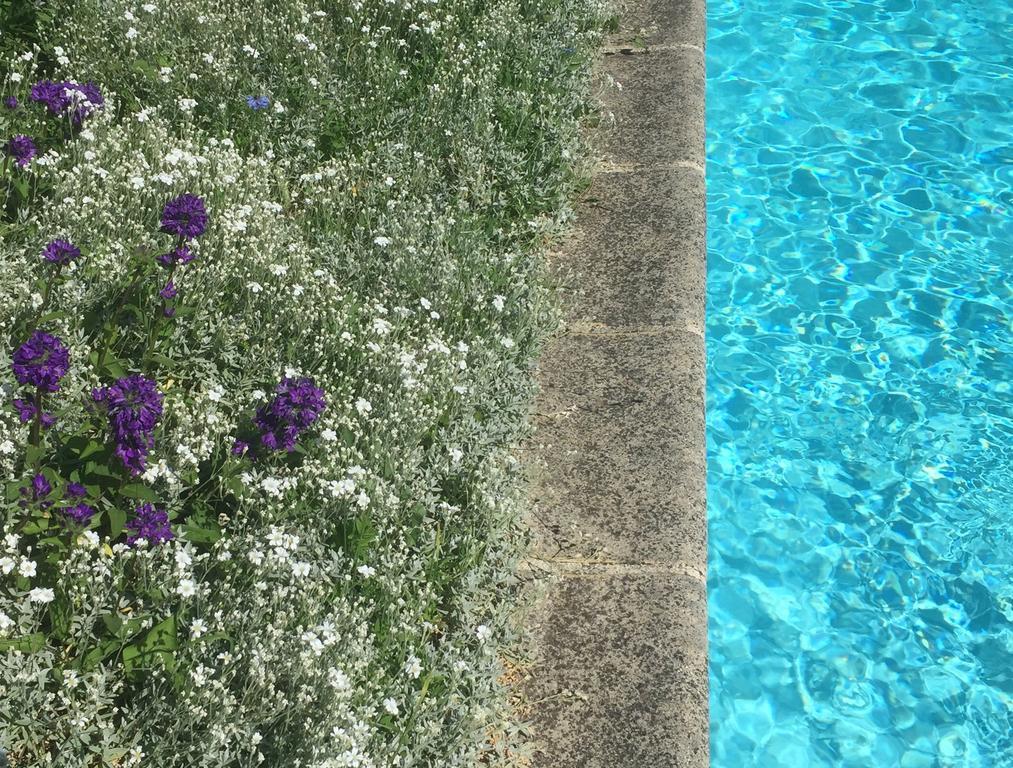 Bed and Breakfast Fleurs De Vignes Piscine Montagny-les-Beaune Экстерьер фото